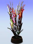 FORKTREE — Click for larger image FORKTREE