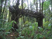 archusbranches72 — Click for larger image archusbranches72