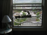 gtrain — Click for larger image gtrain