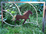 horse — Click for larger image horse